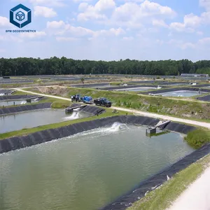 Pond Liner Fish Per 45mil HDPE Geomembrane Black Polythene Roll for Outdoor Small Fish Pond