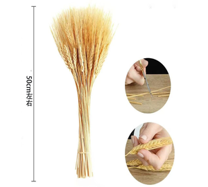 Vente flash : Fleurs séchées en <span class=keywords><strong>blé</strong></span>, 100% <span class=keywords><strong>blé</strong></span> naturel, bouquets <span class=keywords><strong>de</strong></span> <span class=keywords><strong>centre</strong></span> <span class=keywords><strong>de</strong></span> <span class=keywords><strong>table</strong></span> pour mariages rustiques - Product Image 5