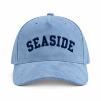 Casquette de baseball unisexe pour adultes en velours suédé, style classique, streetwear, certifiée CE, conforme à la norme REACH, broderie 3D