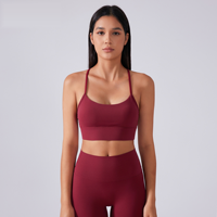 Sujetador deportivo para mujer OEM personalizado, acolchado, sin aros, espalda en Y, de alta sujeción, de nailon, para correr, gimnasio, fitness, marca privada, venta al por mayor
