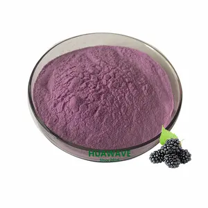 热卖有机黑莓冻干100% 黑莓果粉
