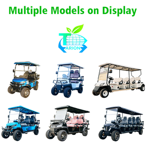 Nouveauté : Voitures électriques tout-terrain personnalisées à 4 places pour le tourisme et les amateurs de voitures - Product Image 4