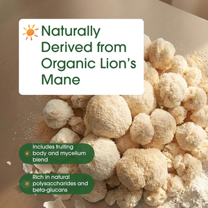 High Quality private label Lion's Mane Extract support cognitive function Extract support <b>wellness</b> health boost immunity powder - Product Image 6