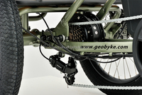 Tricycle électrique pour personnes handicapées de 20 pouces de haute qualité avec moteur arrière de 250 W, batterie intégrée de 48 V 15 Ah et système de frein à disque