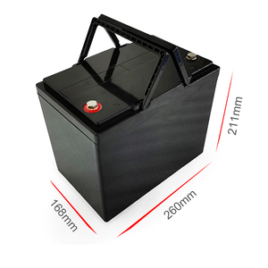 Batterie Ricaricabili al Litio Ferro Fosfato 12V 50Ah per Sedie a Rotelle Elettriche, UPS Mini, Pesca, Ciclo Profondo - Product Image 6