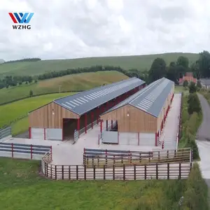 Prefab Custom Poultry Farm Q355B Q235B Steel Structure House 10000 Pcs Chicken House Steel Metal Sheds Cow Sheds For Sale