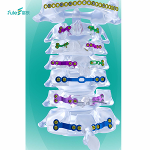 Hete Verkoop Titanium Posterieure Cervicale Laminoplastiek Wervelkolom Chirurgie Orthopedisch Implantaat Ce Gecertificeerd - Product Image 5