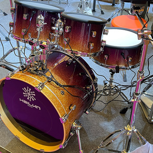 WD-12MAX hailun Trống điện chất lượng cao nhạc cụ gõ nhà máy bán hàng trực tiếp nhà máy trực tiếp giá rẻ - Product Image 6