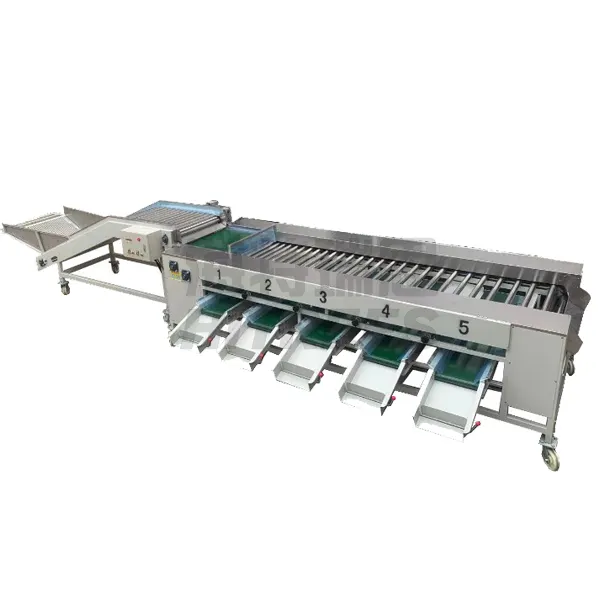 Industrial Automatic Complete Production Machine Line Spinach Onion Potatoes Okra Leafy Vegetable Processing Line