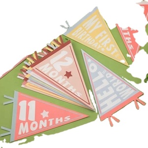 Nouveau style 2025 – Drapeau de fanion coloré pour équipes scolaires et universitaires, avec broderie par sublimation, idéal pour la publicité - Product Image 6