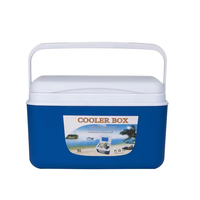 Glacière portable 8L Mini glacière isotherme Boîte à glace pour le camping en plein air Pique-nique Voiture 48H de rétention de la glace Boîte à glace pour aliments