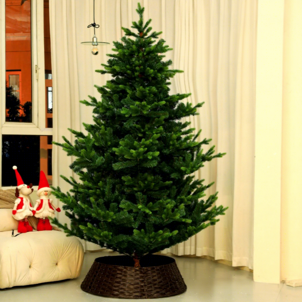 Encryption [PE Hybrid / Spruce Tree] 1.5m