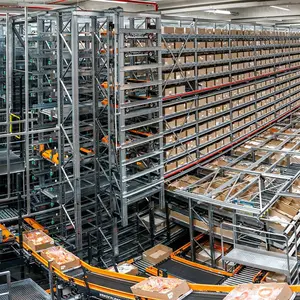 Automat isierte Speicher abrufs ysteme Lager mit höherer Dichte Asrs As/rs Stacking Racks