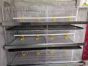 Galvanized4 tingkat bayi kecil bebek kandang kawat tahan lama 100-300 kapasitas burung ayam bros kandang untuk dijual di Zimbabwe