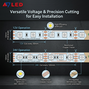 ไฟ LED แถบยาวความสว่างสูง 60LEDs/เมตร 12V 24V SMD 5050 กันน้ำ ยืดหยุ่นได้ แสงสีขาว/ขาวนวล/แดง/เขียว/น้ำเงิน/เหลือง สำหรับป้ายโฆษณา - Product Image 3