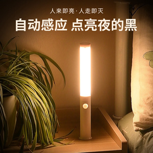 Smart <b>Car</b> <b>Interior</b> Light 12V Human Body Sensor LED Lamp For Cabinet Dashboard Handheld Lighting - Product Image 2