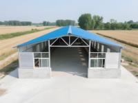 Poulailler préfabriqué 9x30m - 2.8m de hauteur, équipement de base, 5,000 oiseaux, installation rapide