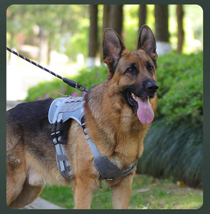 Tactical No Pull Heavy Duty Nylon Sport Breathable <strong>Dog</strong> <strong>Collar</strong> &amp; Harness Set <strong>Dog</strong> Vest Leash Pet Accessories Supplies Wholesale - Product Image 6
