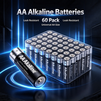 Piles AA Super Alcalines 1,5 V Longue Durée Haute Capacité LR6 Lot de 60 en Gros