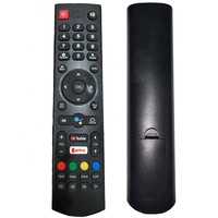 Télécommande de remplacement en gros pour téléviseurs intelligents Android NOISE et décodeurs DVB-T2, spéciale marché indonésien