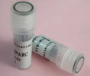 High assay analytical reference S-(+)-Camptothecin cas:7689-03-4 20mg HPLC>98%