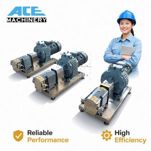 Pompe à miel haute viscosité, qualité alimentaire SS316L, pompe rotative à lobes, pompe à déplacement positif pour le transfert de bière, de chocolat et d'huile - Product Image 3