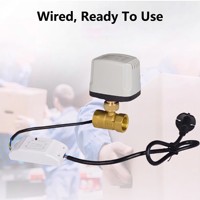 Katup Bola Listrik Kuningan Kontrol Aplikasi WiFi, Pengoperasian Manual, Operasi Ganda, Perpipaan Rumah, Katup Motor Cerdas