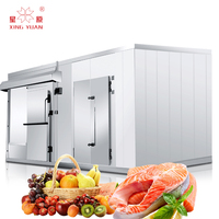 Réfrigérateur de poulet glacé, kit modulaire de cuisine de haute qualité, pour chambre froide, viande, poulet, stockage de fruits, légumes, pommes de terre