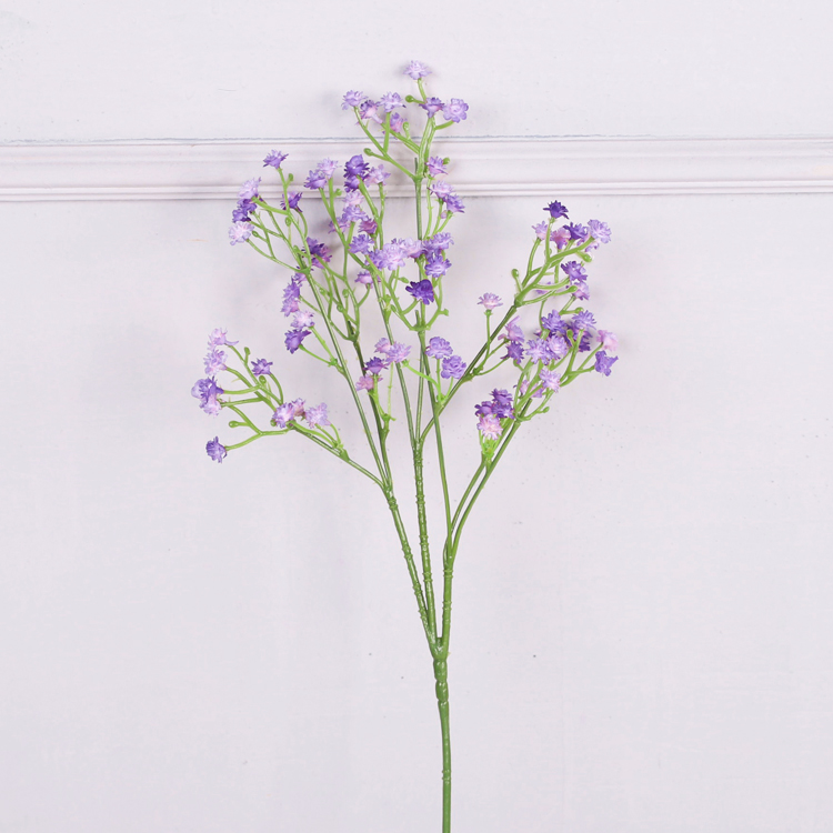 Violet violet