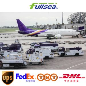 Ofrecemos Servicios de Envío Exprés Global, Incluyendo <span class=keywords><strong>DHL</strong></span>, UPS y FedEx, con Tiempos de Tránsito Rápidos y Entregas Confiables - Product Image 3