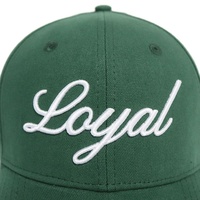 Gorra de Béisbol de Lona de 6 Paneles de Lujo para Adultos, Diseño Popular Personalizado con Logotipo Bordado en 3D de Alta Calidad, Color Verde