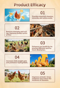 Suplemen Vitamin dan <span class=keywords><strong>Mineral</strong></span> Hewan Berkualitas Tinggi Mempromosikan Pertumbuhan Unggas Secara Cepat - Product Image 3