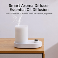 Diffuseur d'huiles essentielles électrique avec lumière LED chaude, luminosité réglable, affichage numérique de l'humidité, minuterie tactile, USB, usage domestique