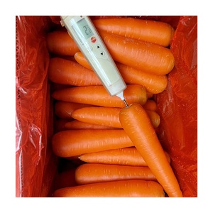 <span class=keywords><strong>Zanahoria</strong></span> Roja Fresca Sinofarm 2026, Nueva Cosecha, Tamaños S, M, L, Venta al por Mayor a Granel, Caja de 10 kg, Exportación de China, Proveedor de Zanahorias Frescas - Product Image 3