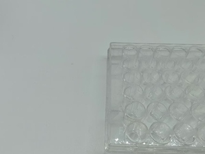 Transparansi tinggi pelat budaya bakteri sekali pakai tahan lama plastik Ps Lab dapat dikonsumsi untuk penggunaan medis - Product Image 6