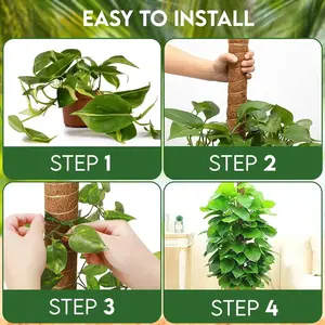 Plante Mousse Coir Pôle Pliable <span class=keywords><strong>Plantes</strong></span> Escalade <span class=keywords><strong>Support</strong></span> Extension Palmier Vignes Bâton Intérieur Balcon Jardin Cour Fleur Décor - Product Image 2