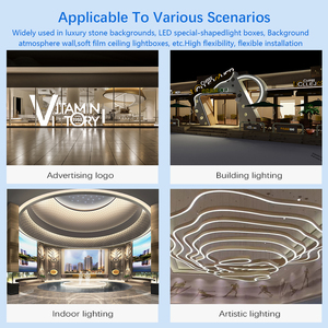 IP20/IP54 Super Bright Source S Shape S Type Led Flexible <strong>Strip</strong> for Signage, Applicable Engineering Wholesalers - Product Image 4