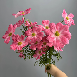 Nouvelles fleurs artificielles en tissu de soie Galsang, fleurs artificielles Cosmos, plusieurs couleurs pour la décoration de la pièce, du bureau, du jardin, des fêtes de printemps - Product Image 6