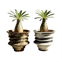Pots à fleurs en céramique haute température de Jingdezhen pour succulentes et caudiciformes - Jardinières respirantes et résistantes à la corrosion