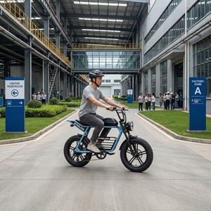 Hoogwaardige, klaar voor gebruik in de stad, elektrische fiets met hoge dekking, 48V 16Ah accu, utiliteitsfiets voor fabriekbezoekers en tourroutes. - Product Image 6