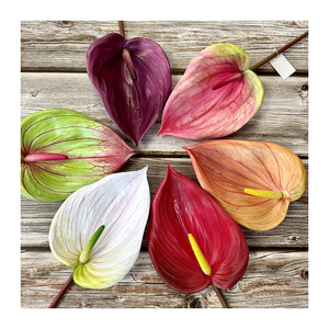 Meichun ใบบัวแบบนิ่มขนาดใหญ่ลายดอกบัวสีแดงหน้าวัวสำหรับตกแต่งเค้าโครงงานแต่งงานคู่<span class=keywords><strong>ม</strong></span>ือจัดดอกไม้ประดิษฐ์ - Product Image 3