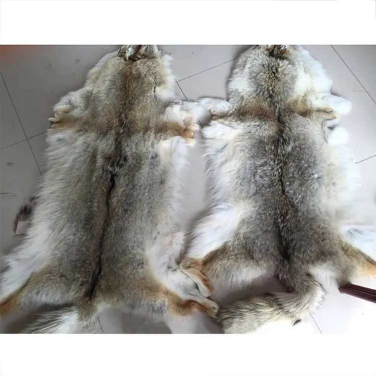 Vente directe en usine de peaux de fourrure de coyote de haute qualité peaux de fourrure de coyote entières