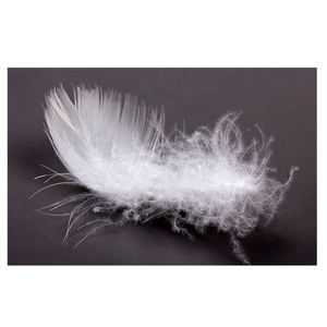 <span class=keywords><strong>Relleno</strong></span> <span class=keywords><strong>de</strong></span> pluma y plumón <span class=keywords><strong>de</strong></span> pato blanco, venta al por mayor, lavable a máquina, directo <span class=keywords><strong>de</strong></span> fábrica - Product Image 1