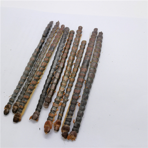 เห็ดหูหนูแห้ง สมุนไพรจีน วู กง สำหรับโรคไขข้อ - Product Image 4
