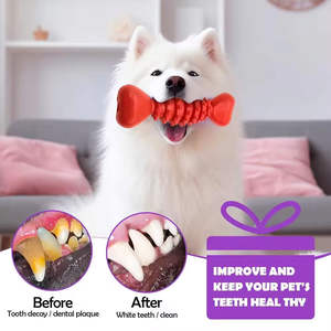 En stock Hueso de perro de goma natural Forma Limpieza de dientes Juguetes interactivos para perros Juguete de limpieza de dientes para perros - Product Image 4