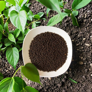 <span class=keywords><strong>ปุ๋ย</strong></span>อินทรีย์ละลายน้ำ<span class=keywords><strong>ซิลิคอน</strong></span> - Product Image 1