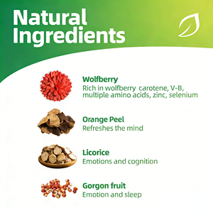 Té Herbal OEM Memory Focus con Ginseng Americano, Bayas de Goji y Regaliz, 10 Bolsitas de Té de 5g Cada Una, a Base de Plantas, Libre de Crueldad Animal, Suplemento - Product Image 4