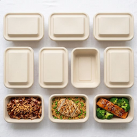 1000ml Wegwerp Biologisch Afbreekbare Lunchbox van Suikerrietbagasse, Magnetronbestendig, Water- en Oliebestendig Deksel, Diepe Rechthoekige Vorm