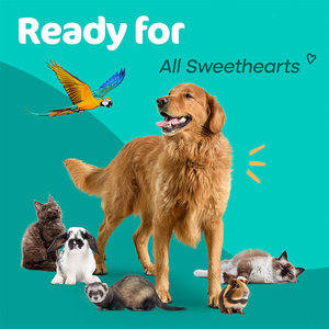 Bio-Enzymatic Dog Cat <strong>Pet</strong> Odour and Stain <strong>Remover</strong> Stale Air <strong>Pet</strong> Urine Food Vomit Odors Eliminator Spray - Product Image 6