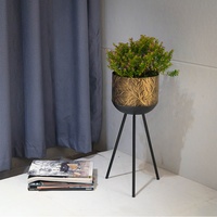 Jardinière moderne en métal noir avec motif floral, finition or brossé, pour la décoration intérieure et extérieure